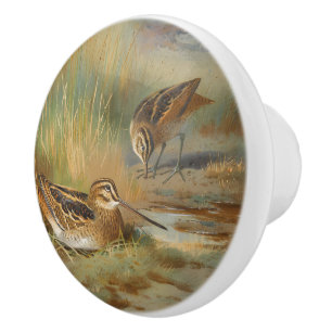 Vintage illustrerade smitfåglar, fåglar knopp