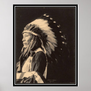 Vintage indian: Eagles bedrägeri, Sioux - Poster