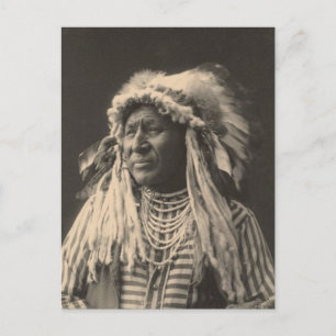Vintage indian: Vita Svan, Kråka - Vykort
