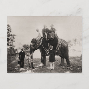 Vintage Indien, elefantresor Vykort