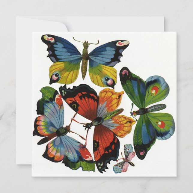 Vintage Insekt eller Kryp, vackra fjärilar (Framsida)