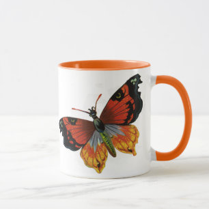 Vintage insekter eller skalbaggar, vacker fjäril mugg