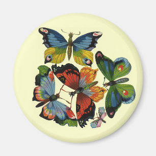 Vintage insekter eller skalbaggar, vackra fjärilar magnet