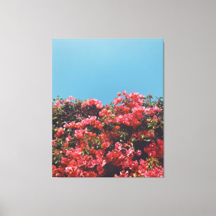 Vintage Inspired Bougainvillea Flowers California Canvastryck