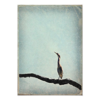 Vintage Inspired Grönt Heron på Blek Blå himmel Fototryck