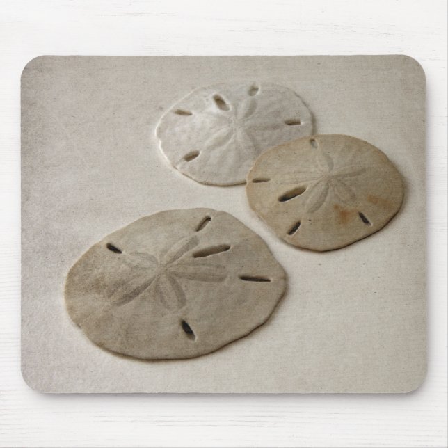 Vintage Inspired Sand Dollars Musmatta (Framsidan)