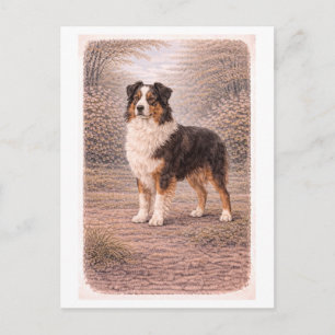 Vintage-inspirerad australisk shepherd vykort