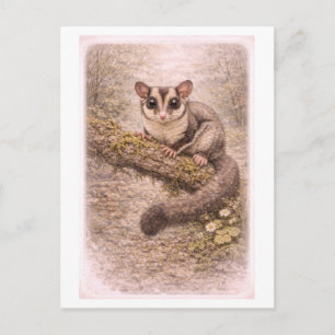 Vintage-inspirerad illustration av sugar glider vykort