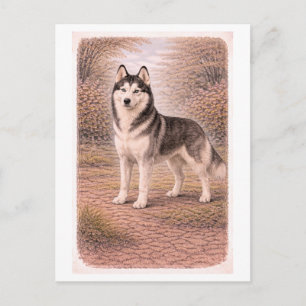 Vintage-inspirerad Siberian Husky Vykort
