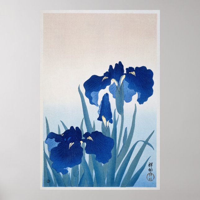Vintage Iris Flowers Illustration Poster (Framsidan)