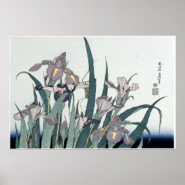 Vintage Irises and a Locust by Katsushika Hokusia Poster