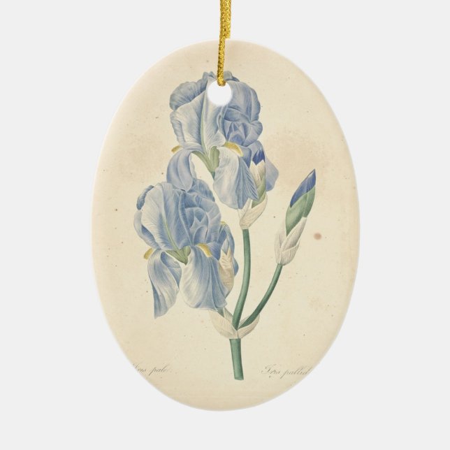 Vintage Irises anpassningsbar Memorial Photo Ornam Julgransprydnad Keramik (Framsidan)