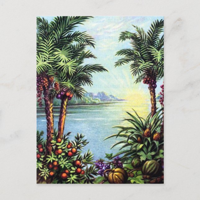 Vintage Island Vykort (Framsida)