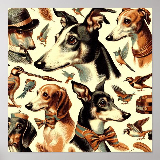 Vintage Italienska Greyhound Illustration Poster (Framsidan)