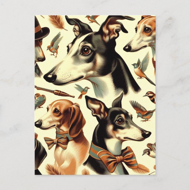 Vintage Italienska Greyhound Illustration Vykort (Framsida)
