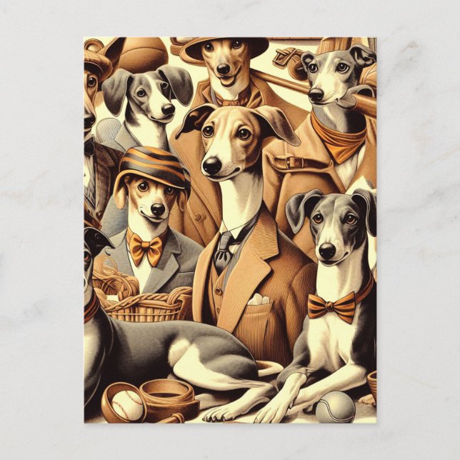 Vintage Italienska Greyhound Illustration Vykort (Framsida)