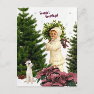 Vintage Jack Russell and Rosa Poinsettias Postcard Vykort