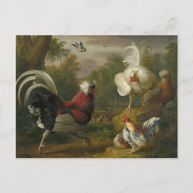 Vintage Jakob Bogdani Cockrels Fight Vykort (Framsida)