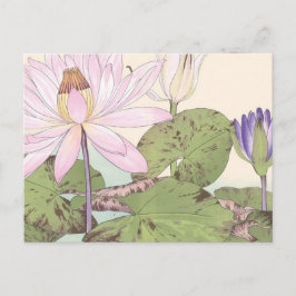 Vintage Japansk Blommigt Art Blek Rosa Lotus Vykort
