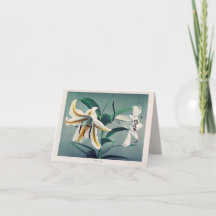 Vintage japansk Blomsterfotografi