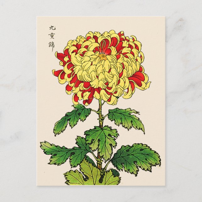 Vintage Japansk Chrysanthemum. senapsgul Vykort (Framsida)