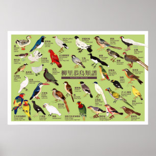 Vintage Japansk fågelatlas Illustration Poster