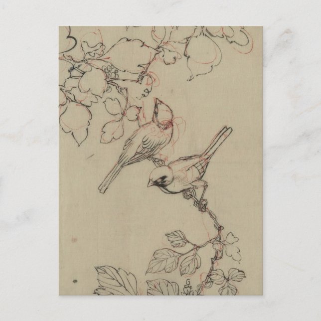 Vintage Japansk fågelbild Vykort (Framsida)