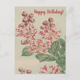 Vintage Japansk Fine Art Cherry Blommar Birthday Vykort
