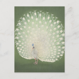 Vintage Japansk Fine Art Peacock Vykort