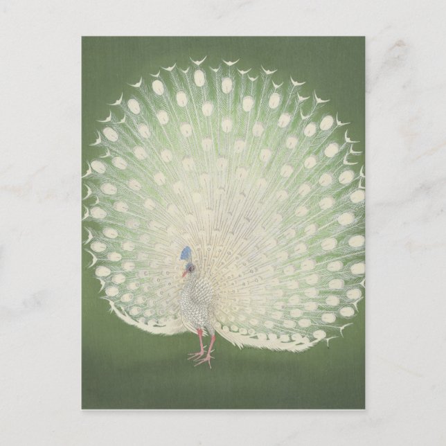 Vintage Japansk Fine Art | Peacock Vykort (Framsida)