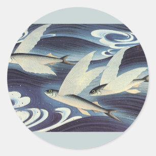 Vintage japansk flygande fisk i havet, Japonism Runt Klistermärke