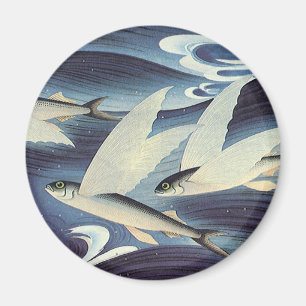 Vintage japansk flygfisk i havet, Japonism Magnet