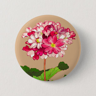 Vintage japansk Hydrangea. Rosa och Grönt Knapp