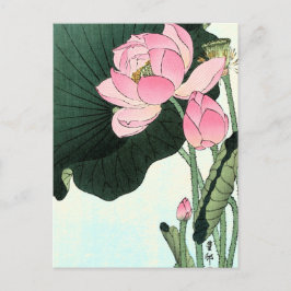 Vintage Japansk Lotus Flower Vykort
