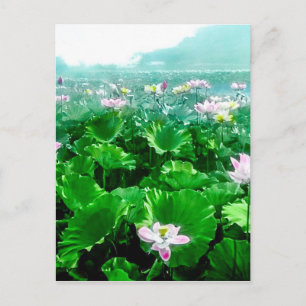 Vintage Japansk Lotus Pond Old Japan Vykort
