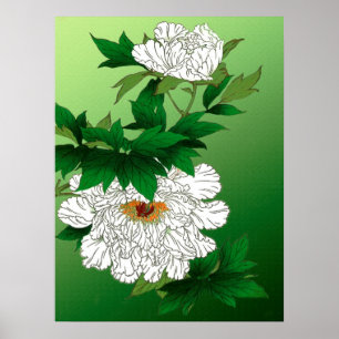 Vintage Japansk sketch av Large White Peony Poster