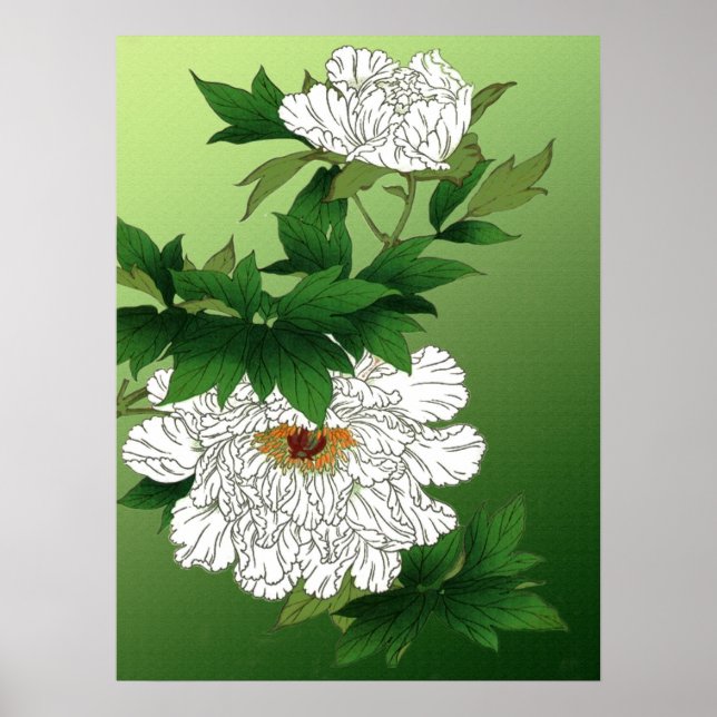 Vintage Japansk sketch av Large White Peony Poster (Framsidan)