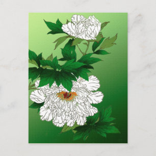 Vintage Japansk sketch av Large White Peony Vykort