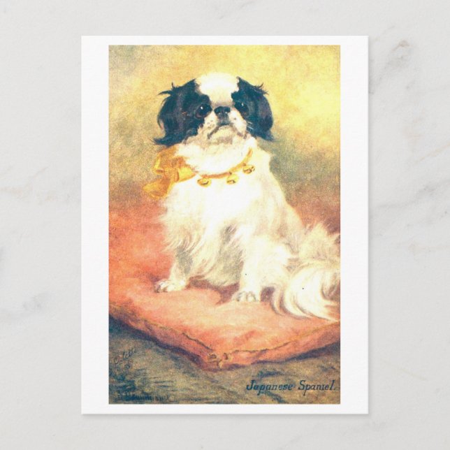 Vintage japansk spaniel vykort (Framsida)