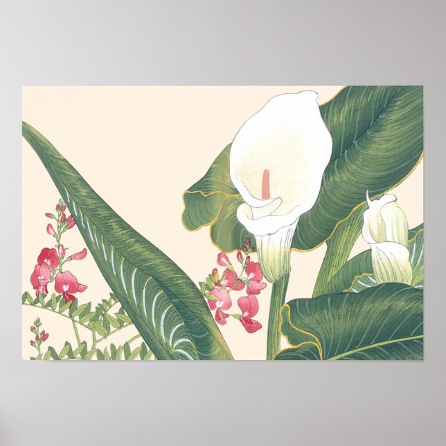 Vintage Japansk Woodblock White Calla Lily Poster (Framsidan)