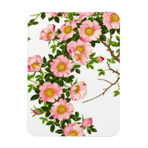 Vintage Japanska Blommar, Rosa och Guld Magnet
