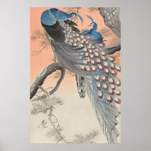 Vintage Japanska peacocks på Träd Gren Poster