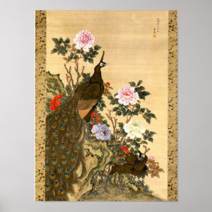 Vintage Japanska peacocks & Peonies Poster