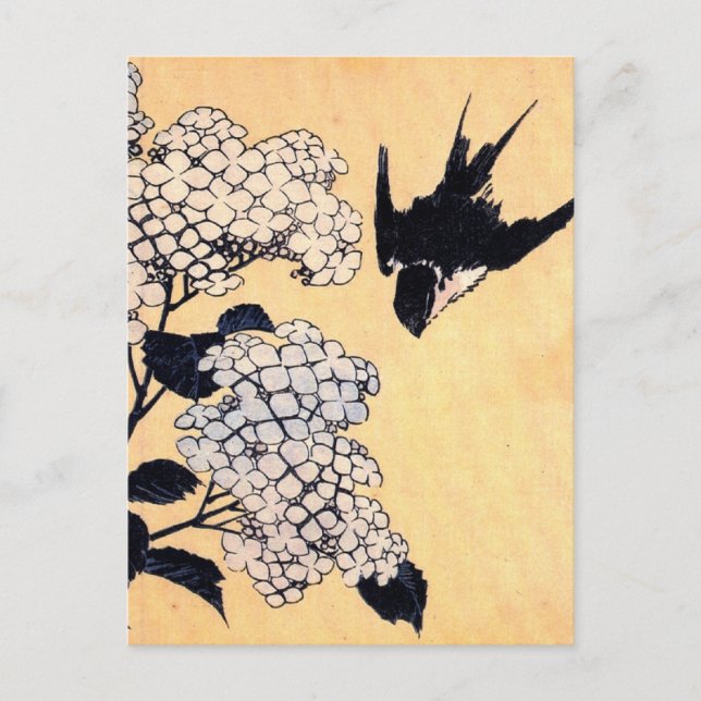 Vintage Japanskt Art Hydrangea Postcard Vykort (Framsida)