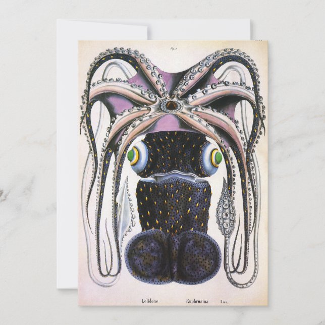 Vintage jättebläckfisk eller åttaarmad bläckfisk,  (Framsida)