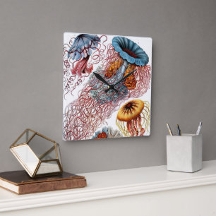 Vintage Jellyfish by Ernst Haeckel, Discomedusae Fyrkantig Klocka