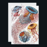 Vintage Jellyfish by Ernst Haeckel, Discomedusae Inbjudningar<br><div class="desc">Enkel att anpassa, klicka bara på knappen "anpassa" och använda verktyg för att skapa en unik inbjudan eller ett unikt meddelande. Ernst Haeckels vintage illustrerar marinens biologi. Ett stort antal färgade jellyfiskdjur som simmar i havets vatten. Geléfisk är fria simmande vattenlevande djur med en paraplyform och långa efterföljande tentakler. De...</div>