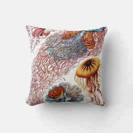 Vintage Jellyfish by Ernst Haeckel, Discomedusae Kudde