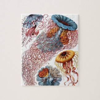 Vintage Jellyfish by Ernst Haeckel, Discomedusae Pussel