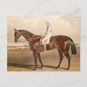Vintage Jockey on Racehorse Vykort